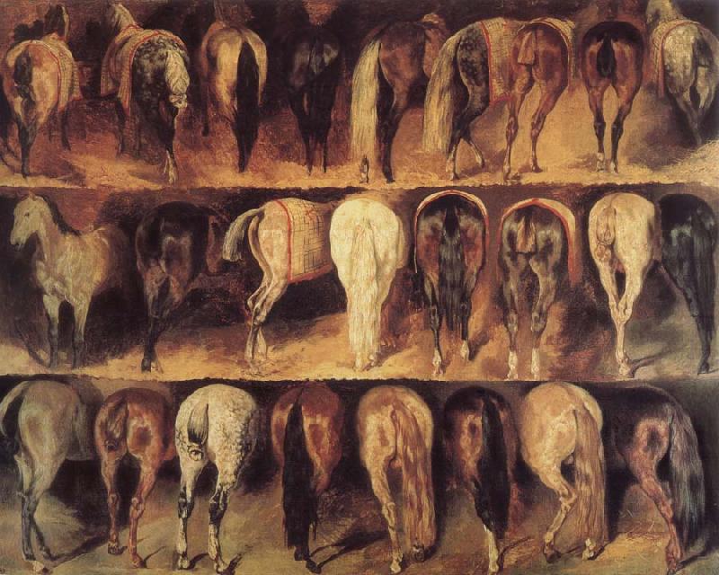 Theodore Gericault Horse jerk views oil painting image